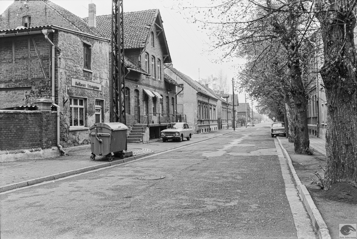 Molkerei Erzeugnisse